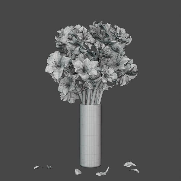 Flower in bloom in a vase