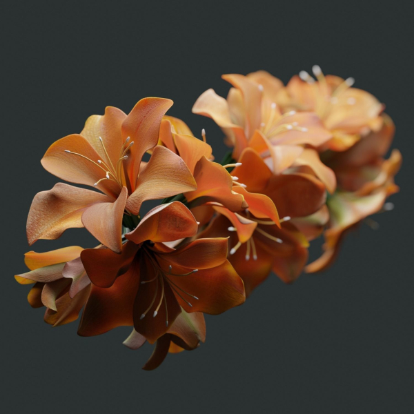 Flower in bloom in a vase