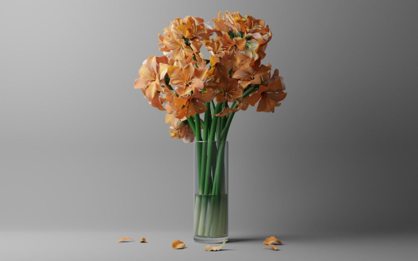 Flower in bloom in a vase