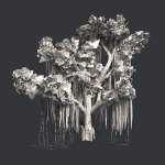 American Sycamore - Chinese Banyan Tree Bundle