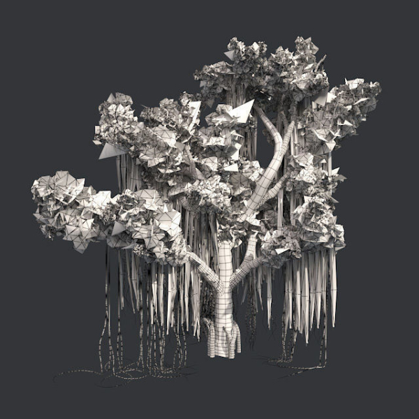 American Sycamore - Chinese Banyan Tree Bundle
