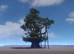 Ancient Tree  V18