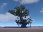 Ancient Tree  V18