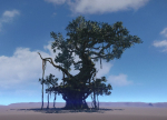 Ancient Tree  V18