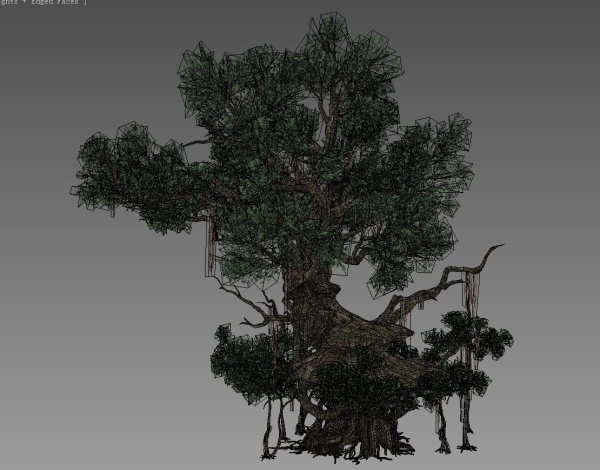 Ancient Tree  V18