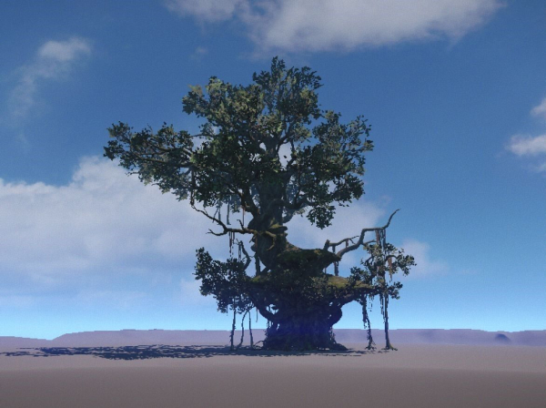 Ancient Tree  V18