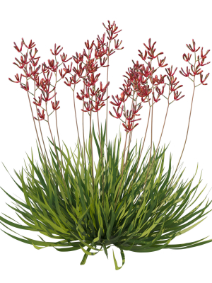 anigozanthos-flavidus-3d-model-831e0a937f