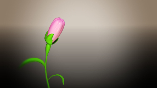 Animated Flower Blooming Flower