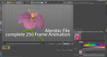 Animated Flower Blooming Flower