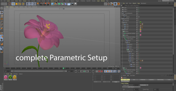 Animated Flower Blooming Flower