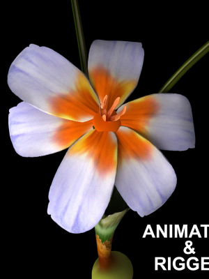 animated-flowers-collection-3d-model-animated-rigged-max
