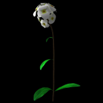 ANIMATED FLOWERS COLLECTION