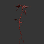 ANIMATED FLOWERS COLLECTION
