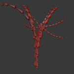 ANIMATED FLOWERS COLLECTION