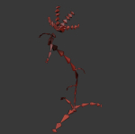 ANIMATED FLOWERS COLLECTION