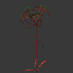 ANIMATED FLOWERS COLLECTION