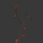 ANIMATED FLOWERS COLLECTION