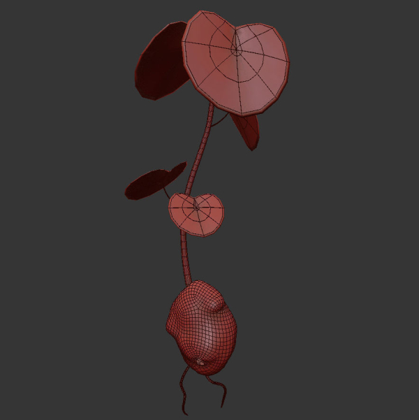 ANIMATED FLOWERS COLLECTION