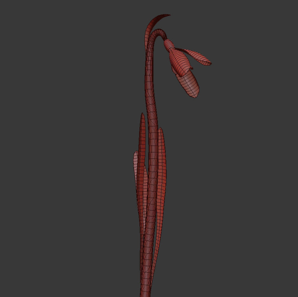ANIMATED FLOWERS COLLECTION