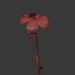 ANIMATED FLOWERS COLLECTION