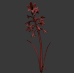 ANIMATED FLOWERS COLLECTION