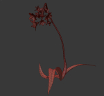 ANIMATED FLOWERS COLLECTION