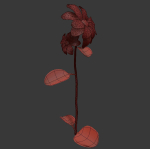 ANIMATED FLOWERS COLLECTION