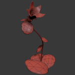 ANIMATED FLOWERS COLLECTION