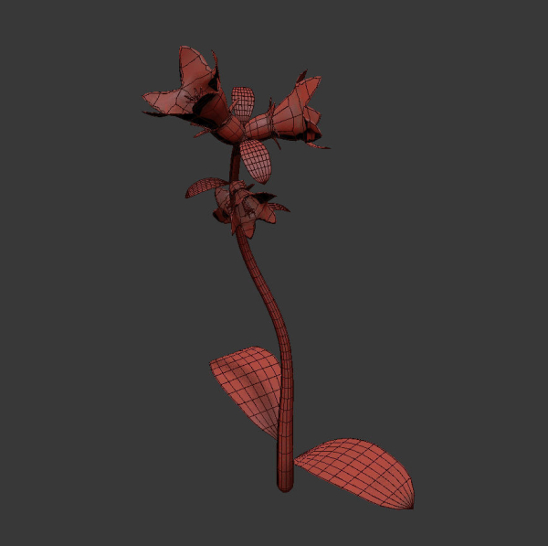 ANIMATED FLOWERS COLLECTION