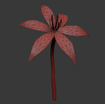 ANIMATED FLOWERS COLLECTION