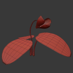 ANIMATED FLOWERS COLLECTION