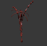 ANIMATED FLOWERS COLLECTION