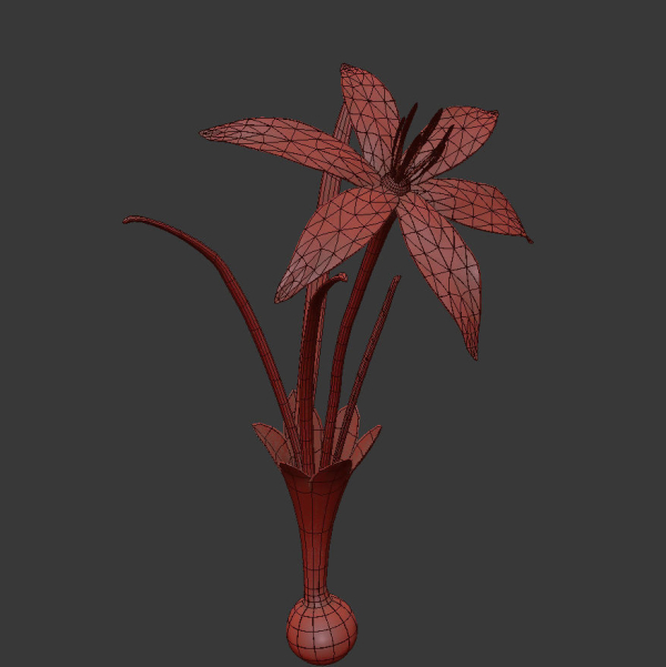 ANIMATED FLOWERS COLLECTION