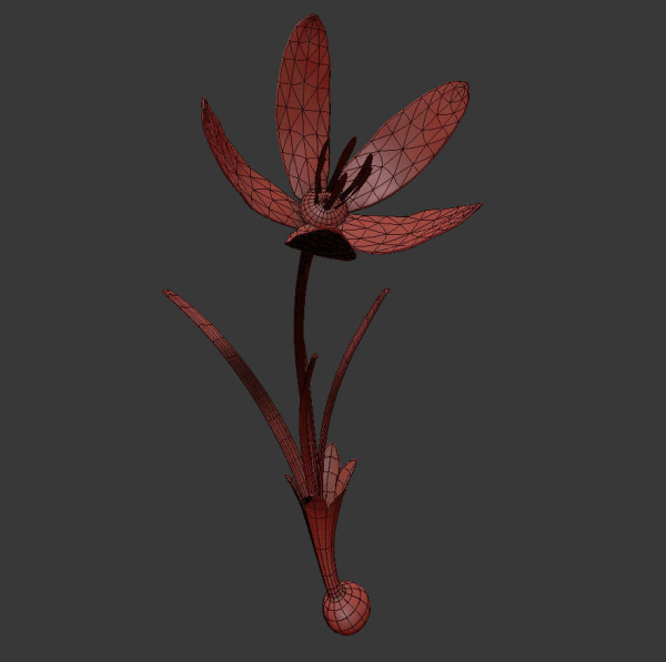 ANIMATED FLOWERS COLLECTION