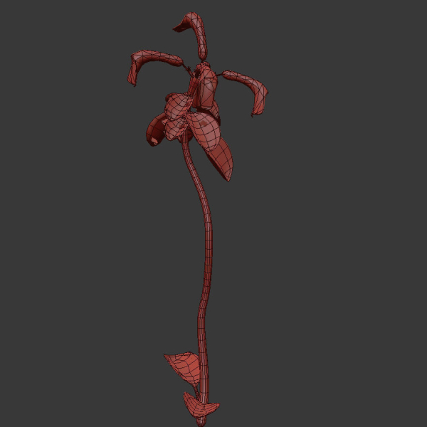 ANIMATED FLOWERS COLLECTION