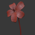 ANIMATED FLOWERS COLLECTION