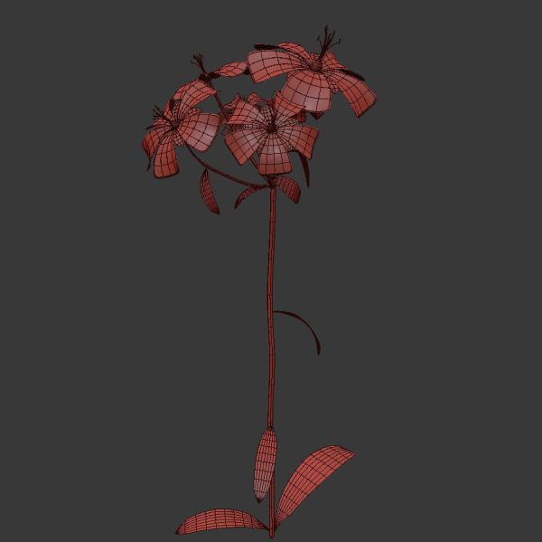 ANIMATED FLOWERS COLLECTION