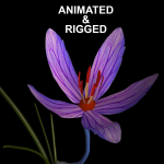 ANIMATED FLOWERS COLLECTION