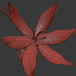 ANIMATED FLOWERS COLLECTION