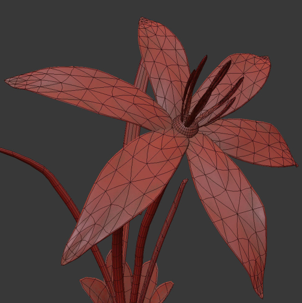 ANIMATED FLOWERS COLLECTION
