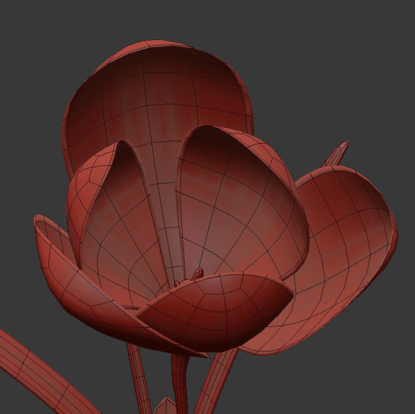 ANIMATED FLOWERS COLLECTION