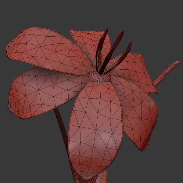 ANIMATED FLOWERS COLLECTION