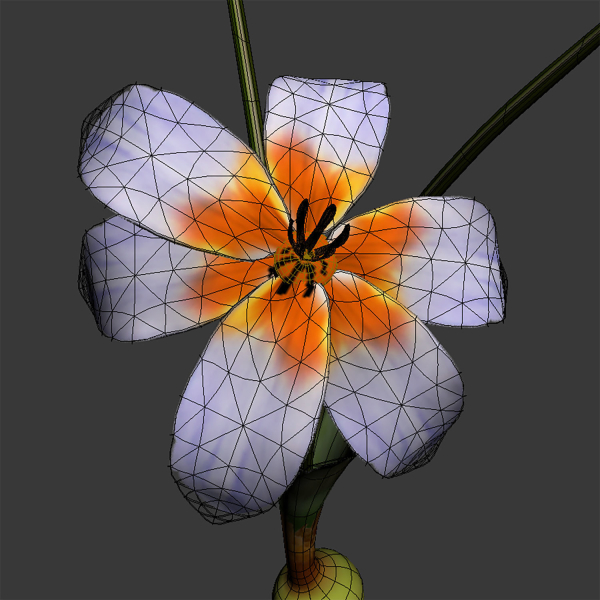 ANIMATED FLOWERS COLLECTION