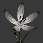 ANIMATED FLOWERS COLLECTION