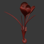 ANIMATED FLOWERS COLLECTION