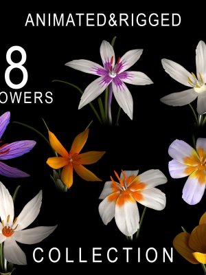 ANIMATED FLOWERS COLLECTION