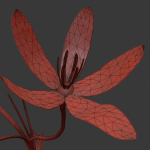 ANIMATED FLOWERS COLLECTION