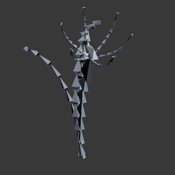 ANIMATED FLOWERS COLLECTION