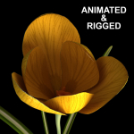 ANIMATED FLOWERS COLLECTION