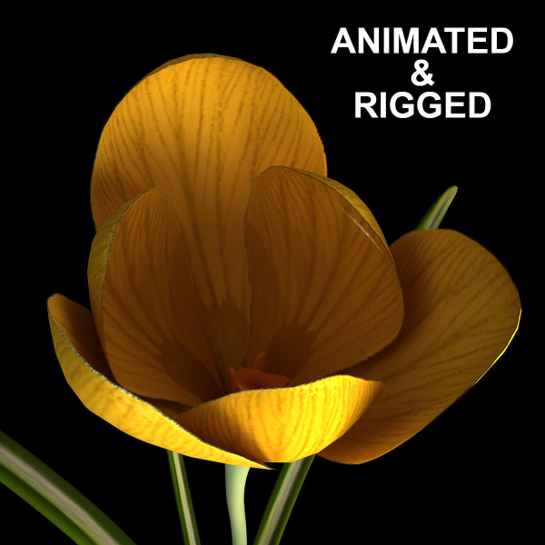 ANIMATED FLOWERS COLLECTION